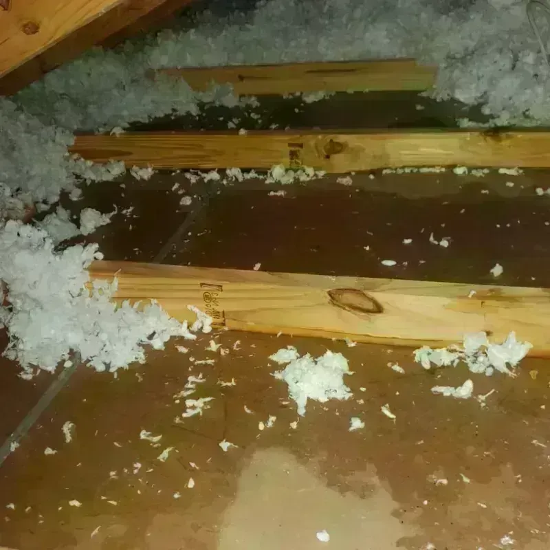 Attic Water Damage in Gassville, AR