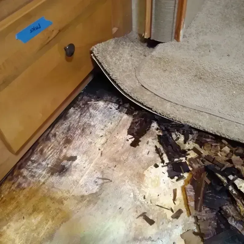 Wood Floor Water Damage in Gassville, AR